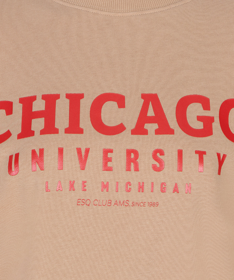 EsQualo Sand 'Chicago' Printed Sweater